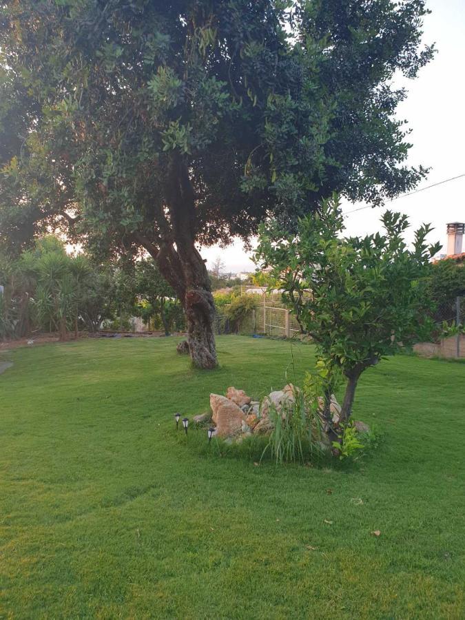 Silia Suites Malia Eksteriør billede